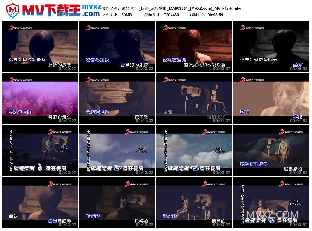 张悬-如何_国语_流行歌曲_MA503954